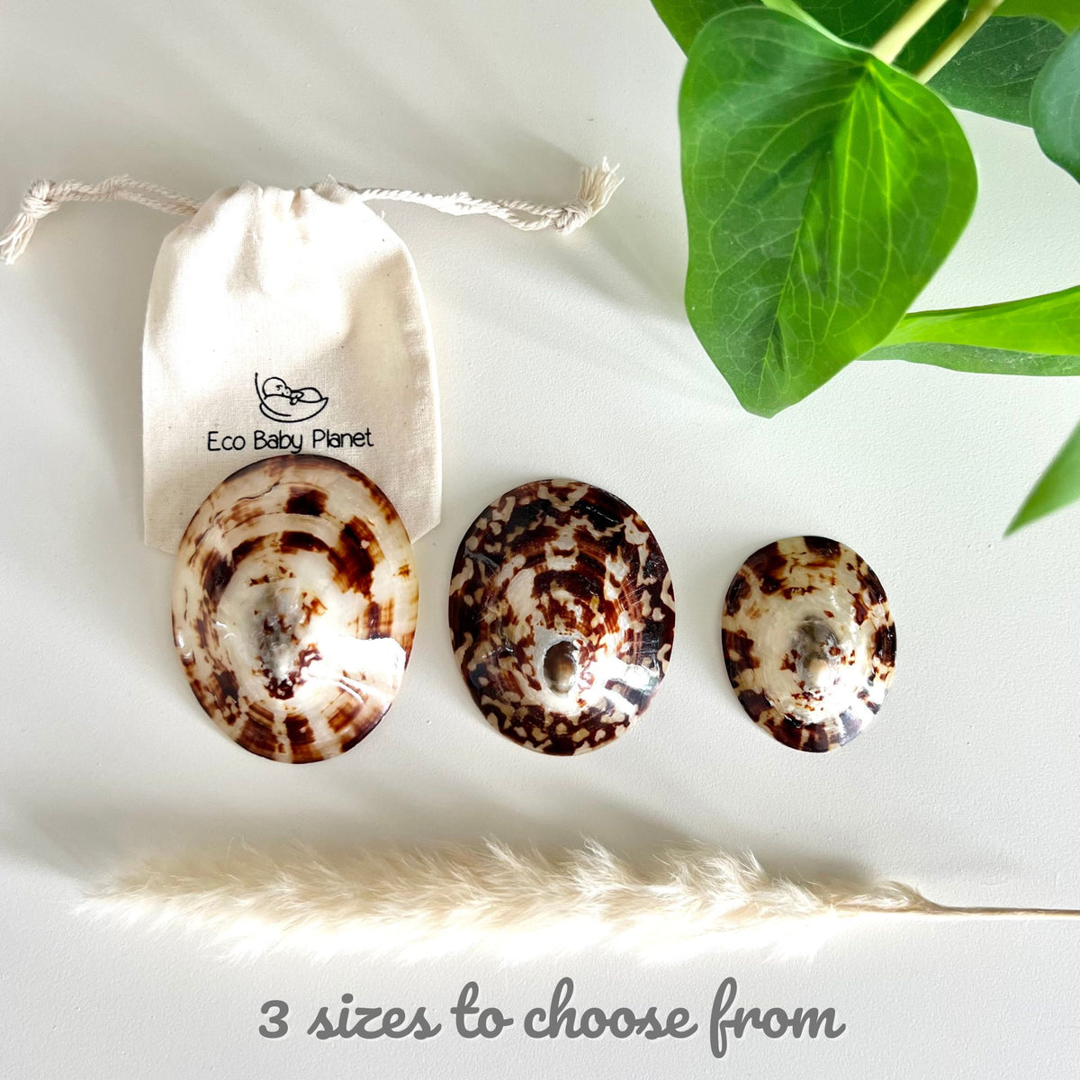 Breastfeeding Seashells, 100% Natural Nipple Shields - 1 Pair