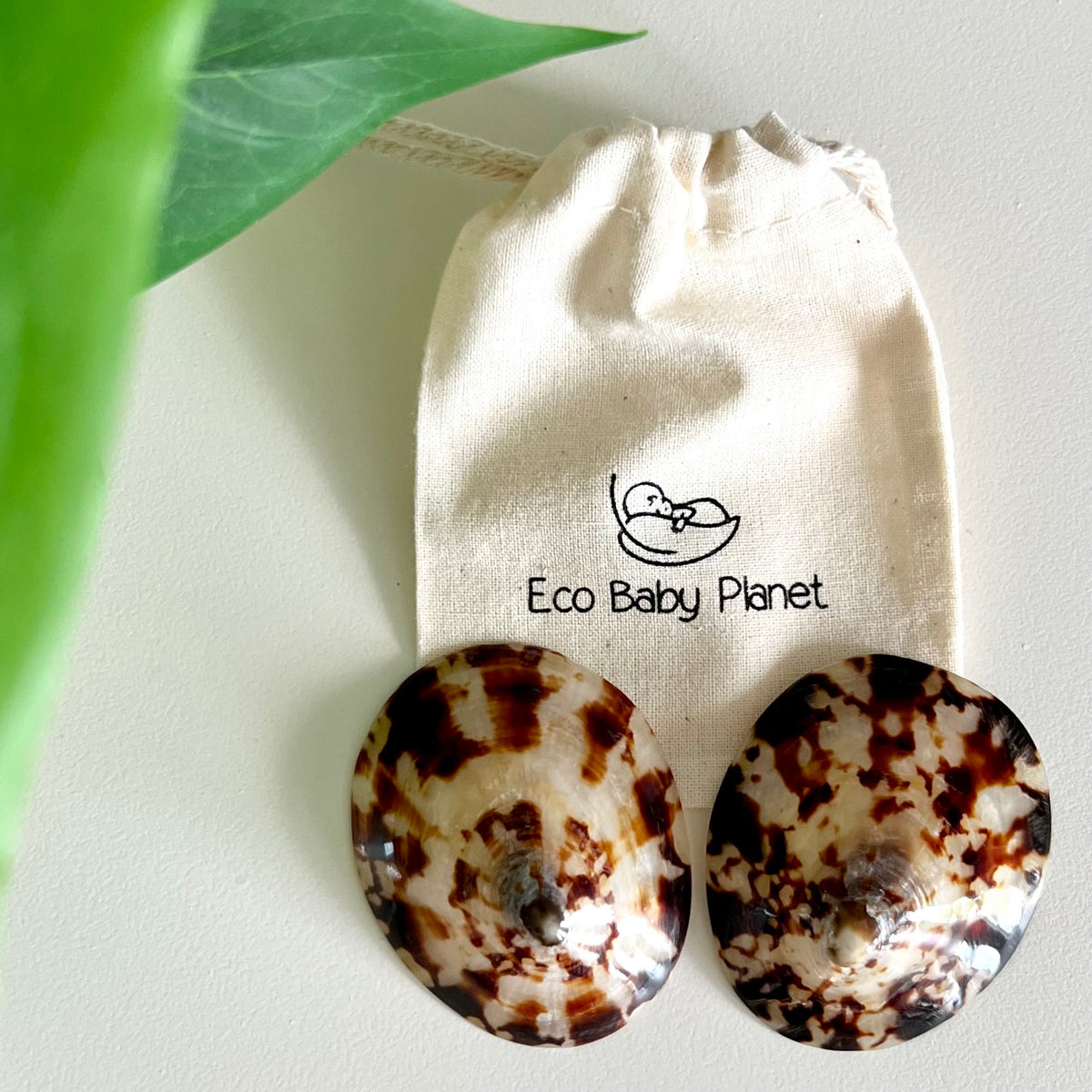 Breastfeeding Seashells, 100% Natural Nipple Shields - 1 Pair