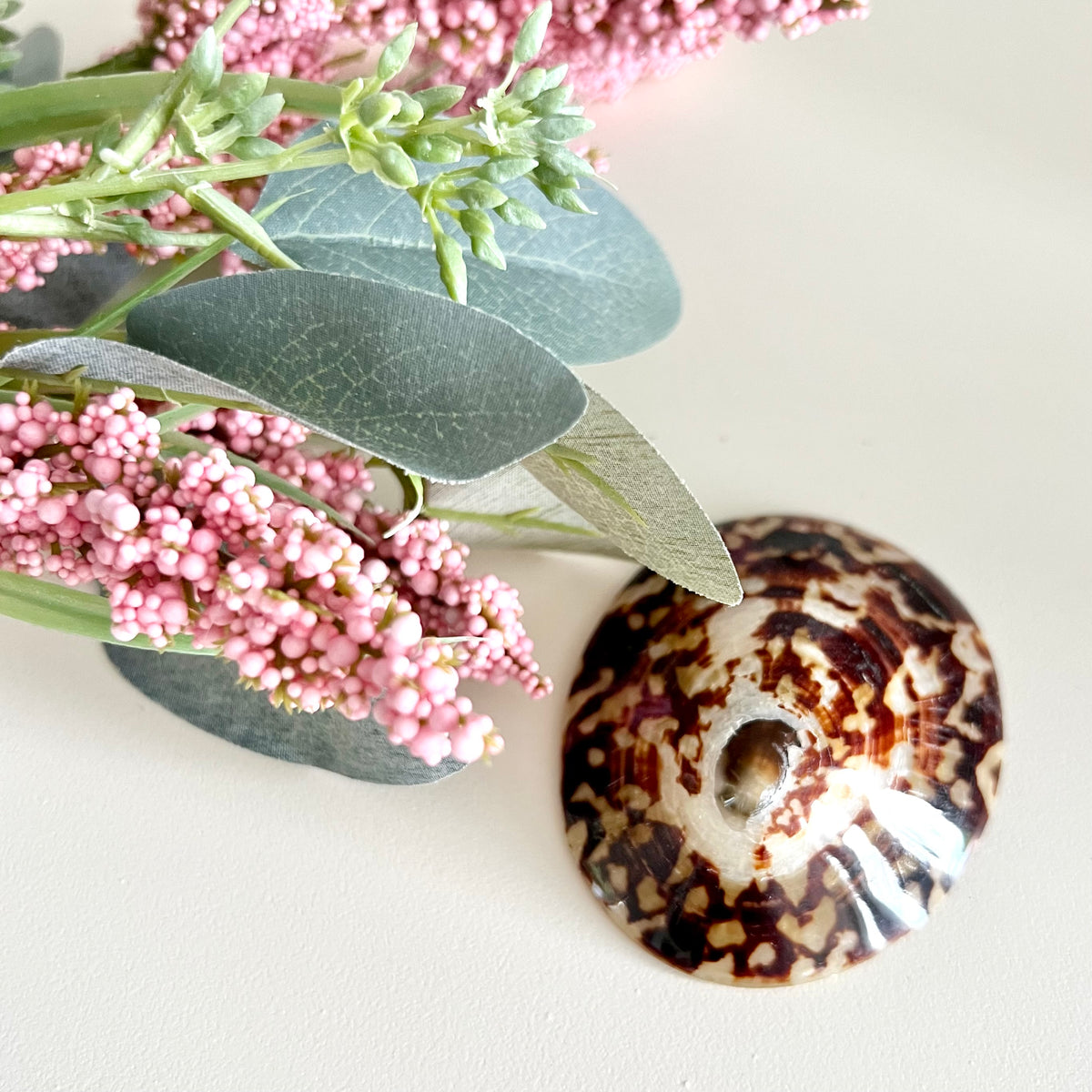 Breastfeeding Seashells, 100% Natural Nipple Shields - 1 Pair