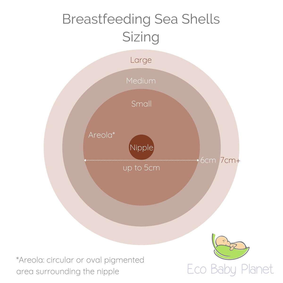 Breastfeeding Seashells, 100% Natural Nipple Shields - 1 Pair